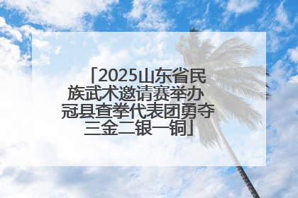 2025山东省民族武术邀请赛举办 冠县查拳代表团勇夺三金二银一铜