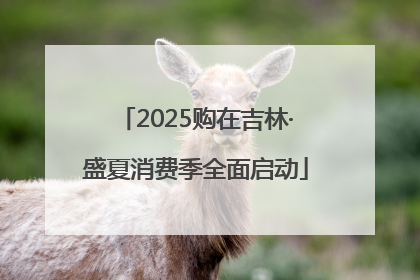 2025购在吉林·盛夏消费季全面启动