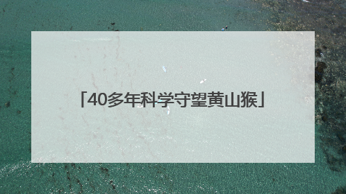 40多年科学守望黄山猴