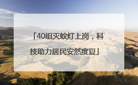 40组灭蚊灯上岗，科技助力居民安然度夏