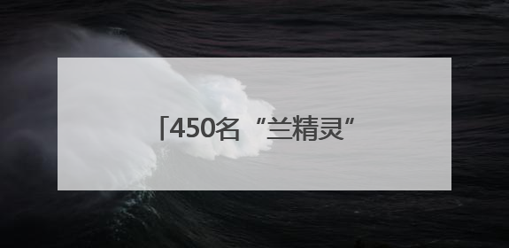 450名“兰精灵”护航兰马物资发放