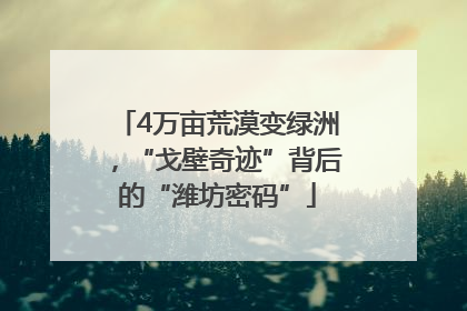 4万亩荒漠变绿洲，“戈壁奇迹”背后的“潍坊密码”