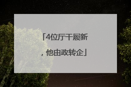 4位厅干履新，他由政转企