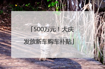 500万元！大庆发放新车购车补贴