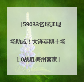 59033名球迷现场助威！大连英博主场1:0战胜梅州客家