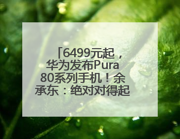 6499元起，华为发布Pura80系列手机！余承东：绝对对得起那四个字！华为近十年研发投入12490亿元