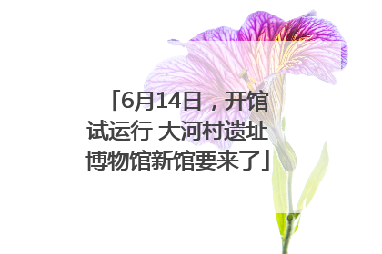 6月14日，开馆试运行 大河村遗址博物馆新馆要来了