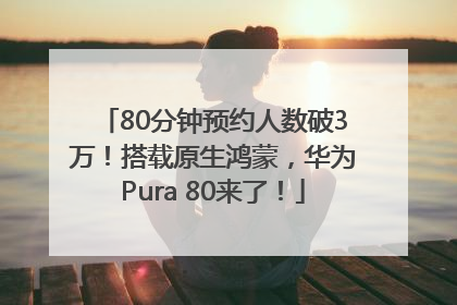 80分钟预约人数破3万！搭载原生鸿蒙，华为Pura 80来了！