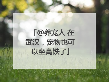 @养宠人 在武汉，宠物也可以坐高铁了