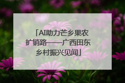 AI助力芒乡果农扩销路——广西田东乡村振兴见闻