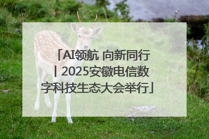 AI领航 向新同行丨2025安徽电信数字科技生态大会举行