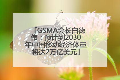 GSMA会长白德伟：预计到2030年中国移动经济体量将达2万亿美元