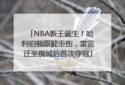 NBA新王诞生！哈利伯顿跟腱重伤，雷霆迁至俄城后首次夺冠