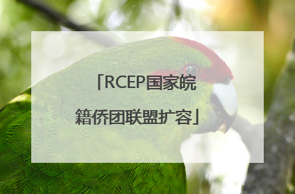 RCEP国家皖籍侨团联盟扩容