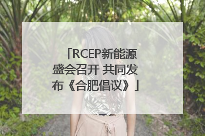 RCEP新能源盛会召开 共同发布《合肥倡议》