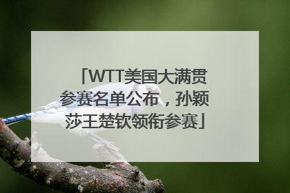 WTT美国大满贯参赛名单公布，孙颖莎王楚钦领衔参赛